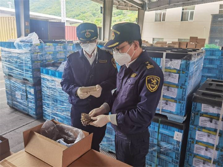 Edistää ulkomaankauppaa vakauden varmistamiseksi ja laadun parantamiseksi Ningbo Tulli antoi 20 