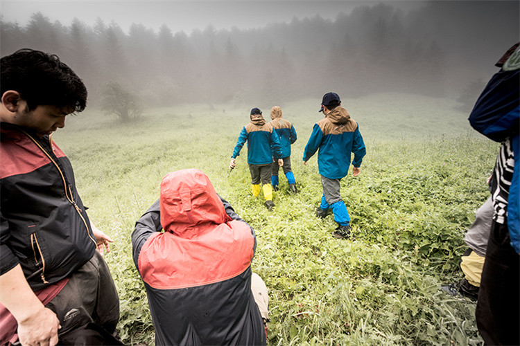 Mikä on SURVIVA Wilderness Survival?